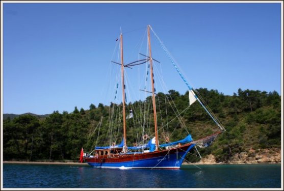5399.jpg